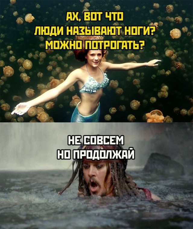 Картинки и мемы для настроения - 27