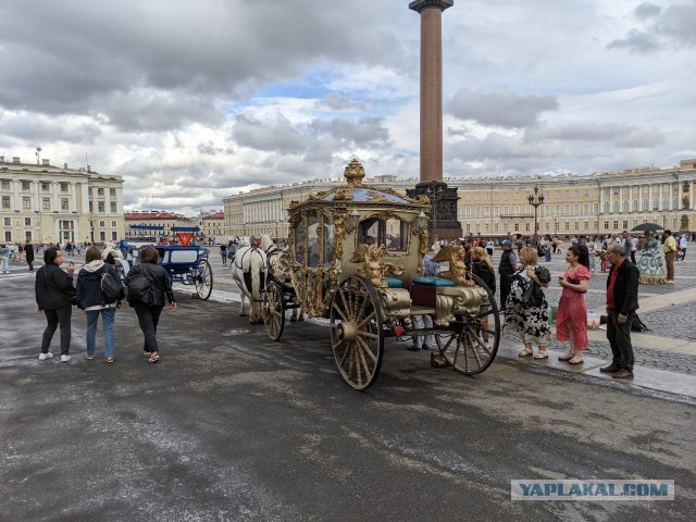 Дочь завидует эскортницам. Что делать?