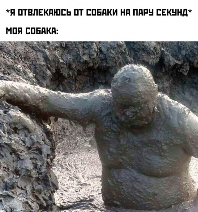 Картинки и мемы для настроения - 125