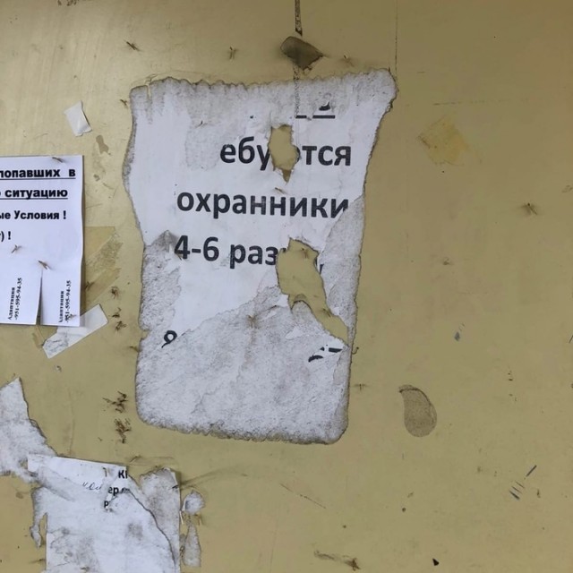 На заборе