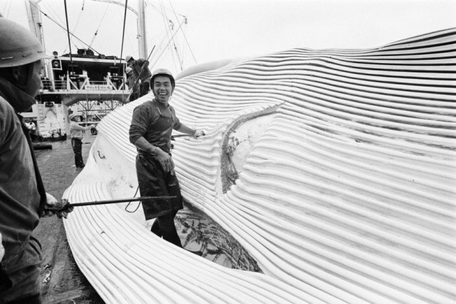 50 лет назад. Январь 1973 года