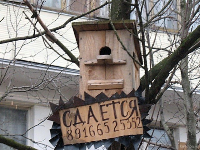 Самая дешевая квартира в Москве продается за 1,9 млн рублей. В ней даже нет окон