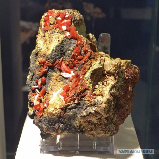 Mineralientage München 2018