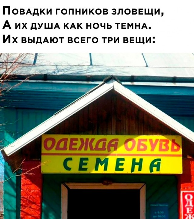 Весёлый полтишок 21.05.23