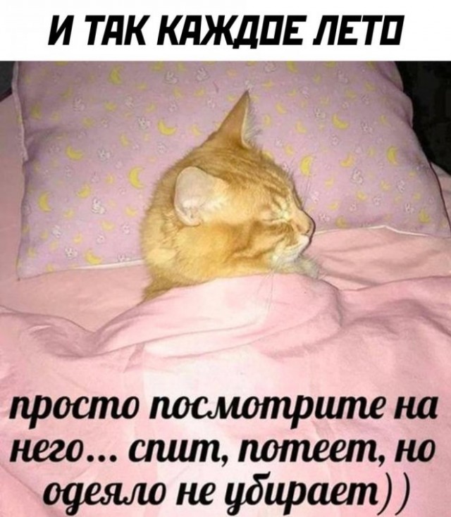 Картинки и мемы, всяко разно - 181