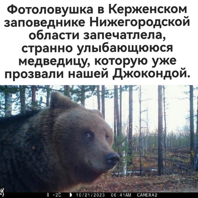 Так себе картинки 24.11.23