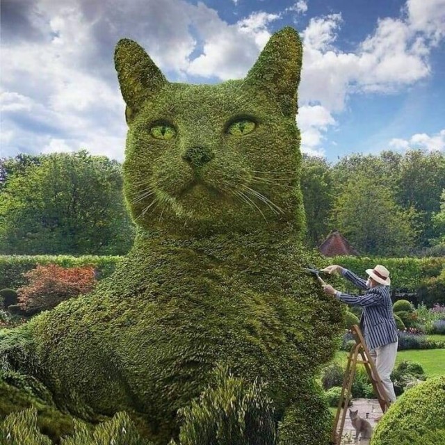 ФотоВинегрет