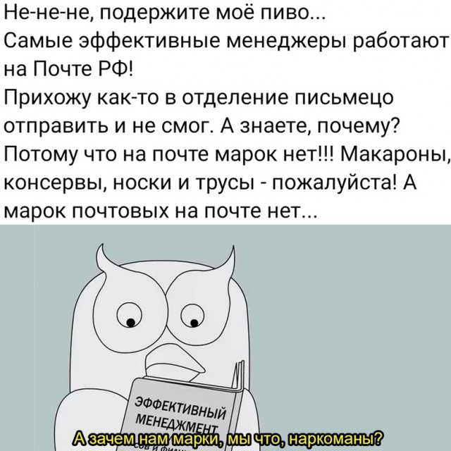 Весёлый полтишок 08.04.24