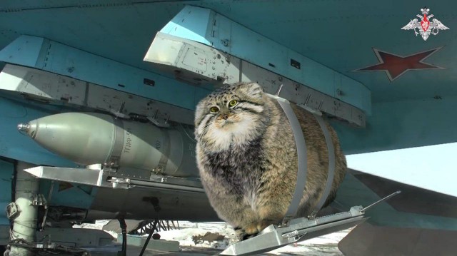 Не очень адекватный юмор