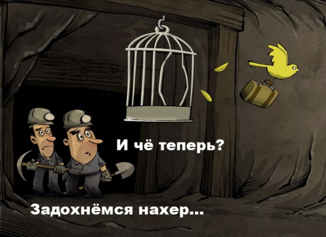 Для чего на самом деле пираты заводили попугаев
