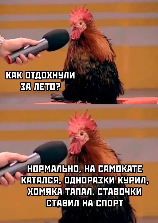 Так себе картинки 02.09.24