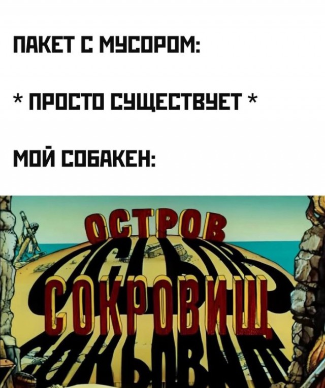 Веселые картинки к пятнице (27.09)