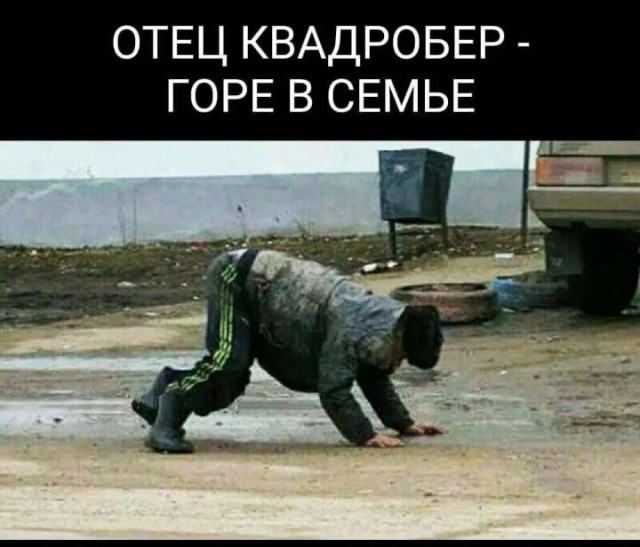 Погладил