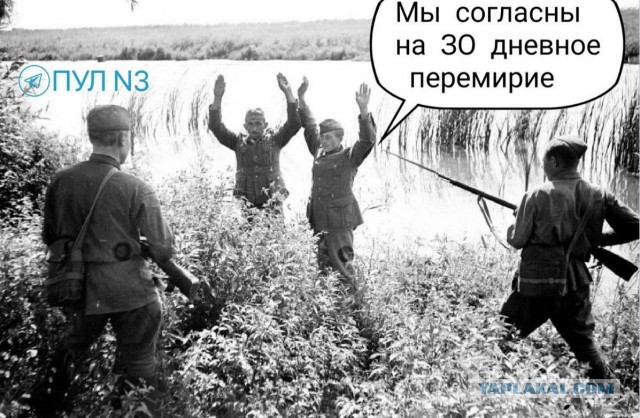 Путин ответил на призыв Трампа пощадить бойцов ВСУ в Курской области