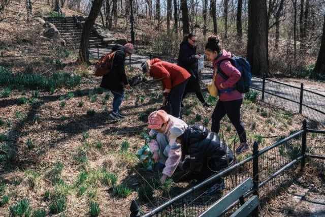В Нью-Йорке сделали карту, где собирать еду в центре (!) города