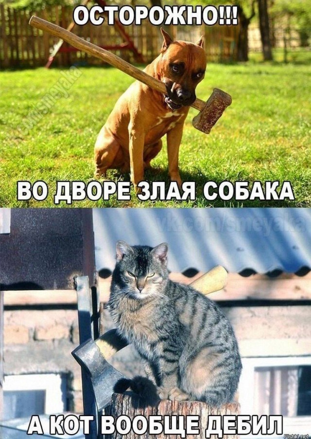 Картинки ниапчём и обо всём