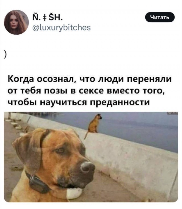 Всякое разное