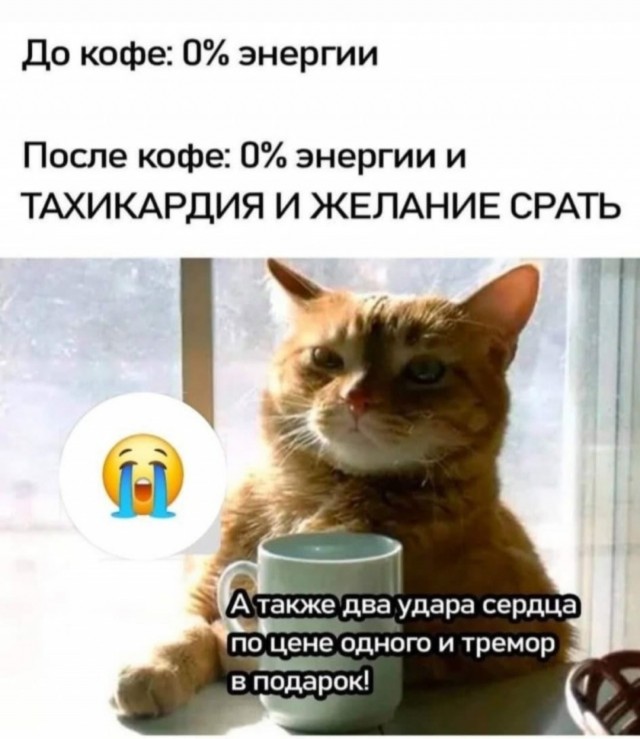 Так себе картинки 14.06.25