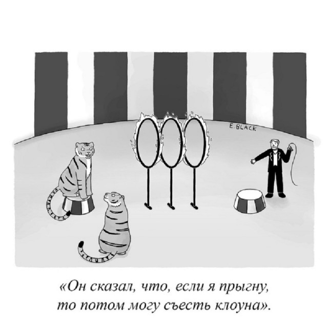Так себе картинки 28.06.25