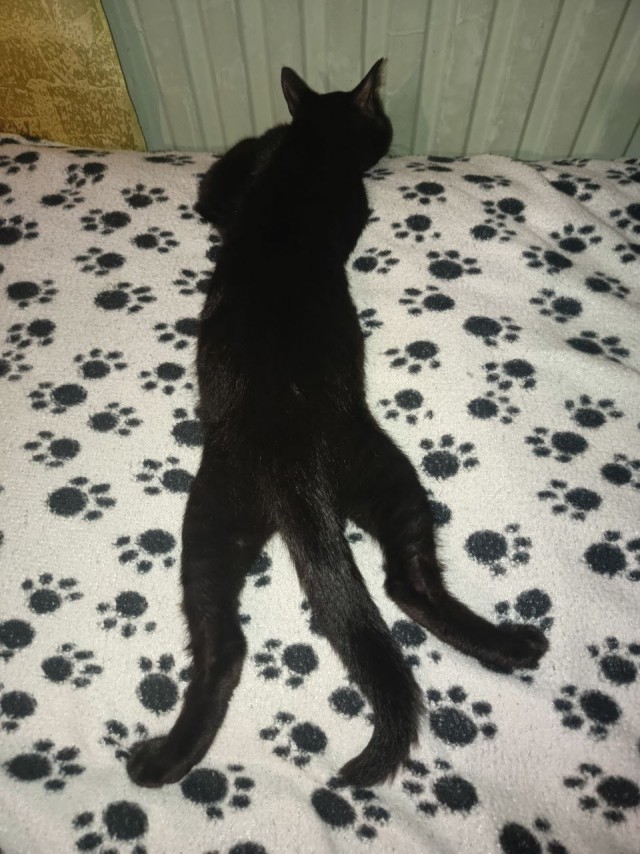 Его первый вторник