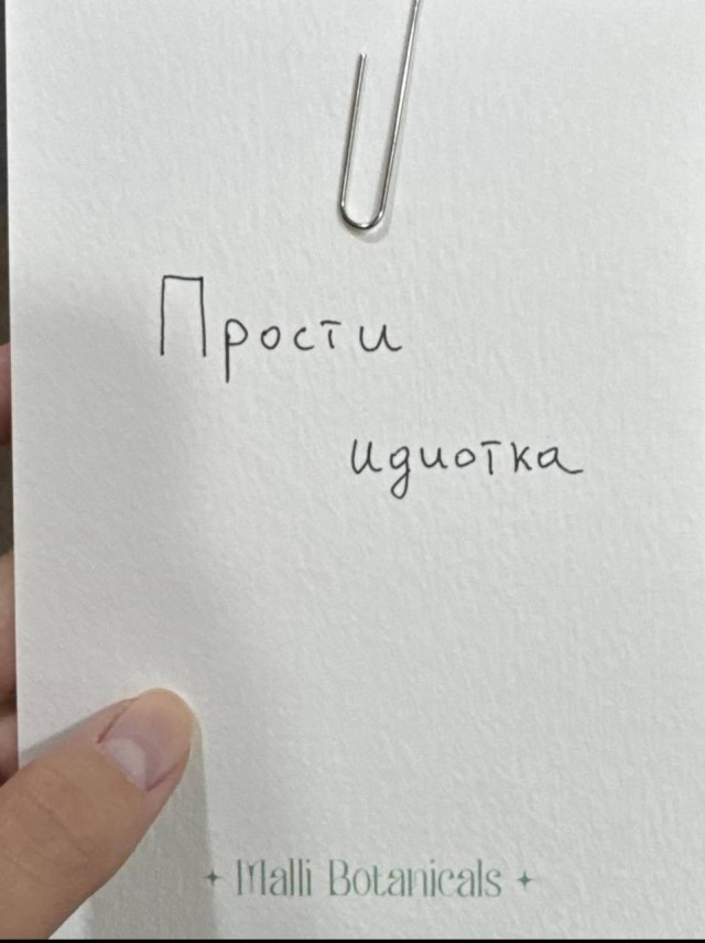 «Прости идиотка».