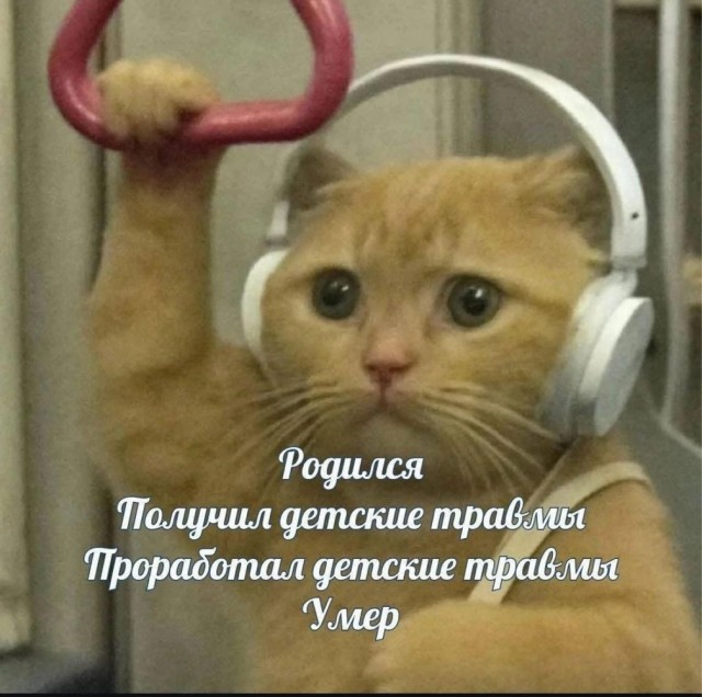 Картинки для деградации 35 (разной степени свежести)