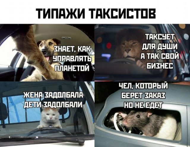 Веселые картинки в понедельник (24.11)