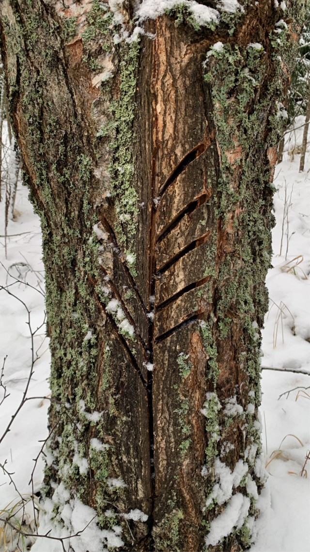 Требуются консультация чародеев и прочих специалистов