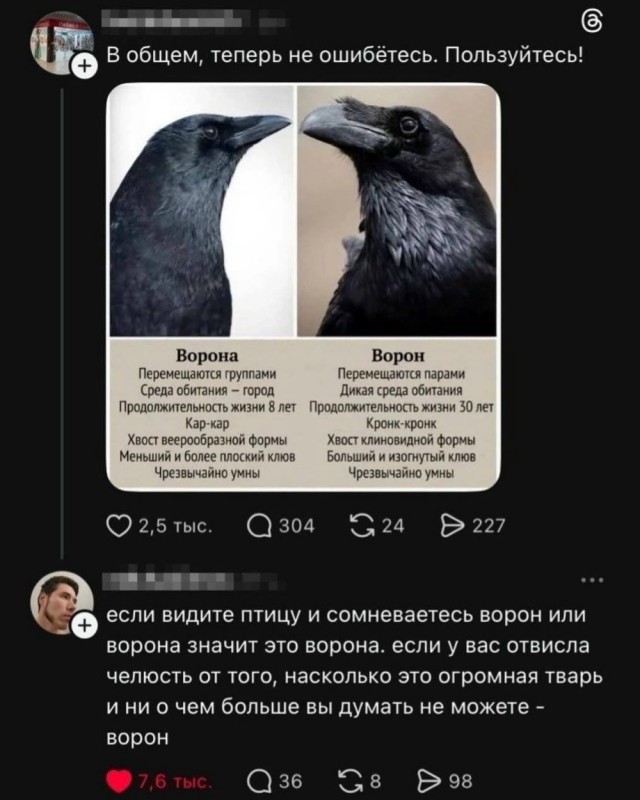Воскресные картинки