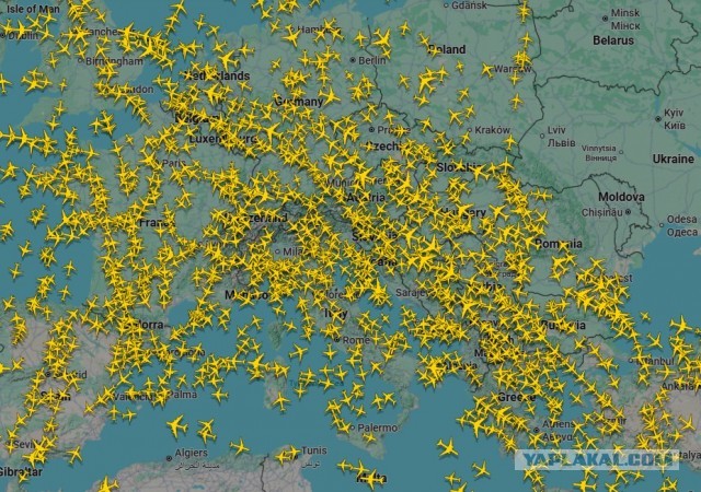 Товар с крыльями: Почему авиакомпании не зарабатывают на полетах