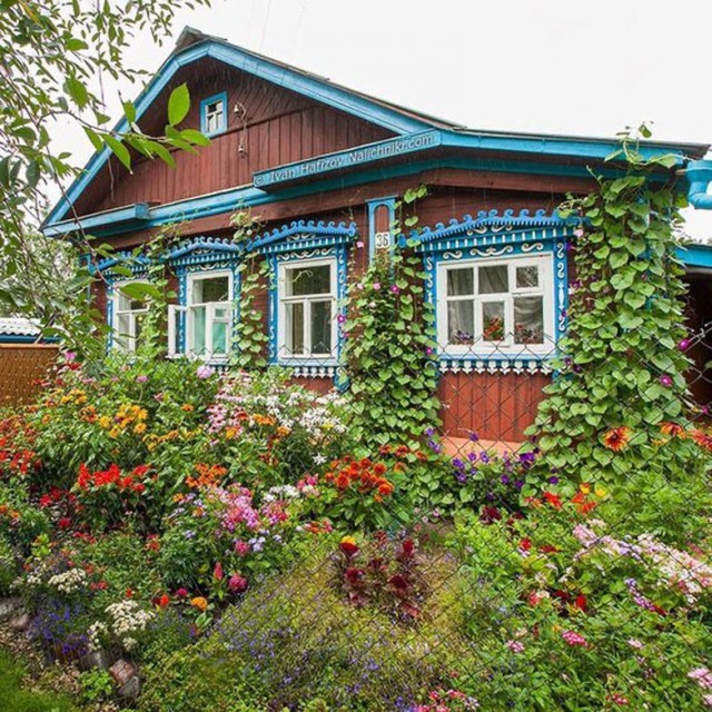 Прикольные и просто красивые картинки 03.07.2026