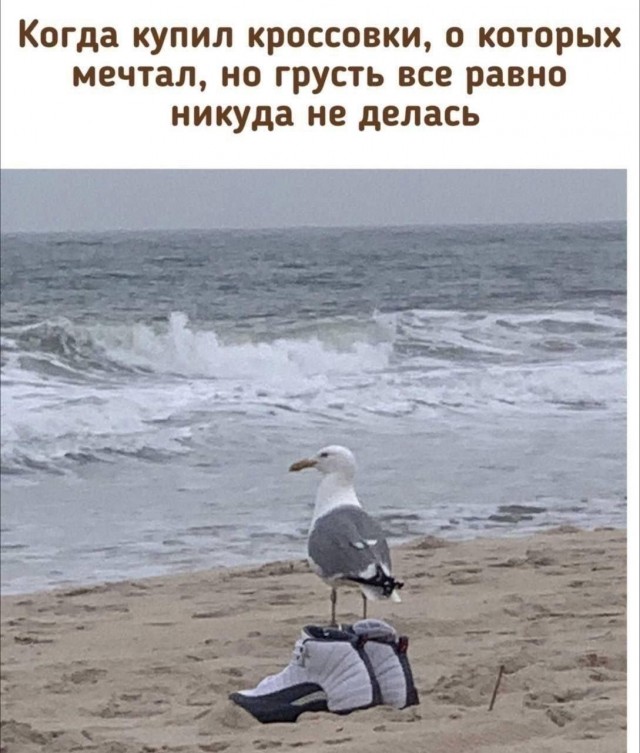 Так себе картинки 25.09.26