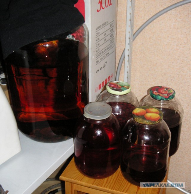 Посленовогоднее, 1 пикча.