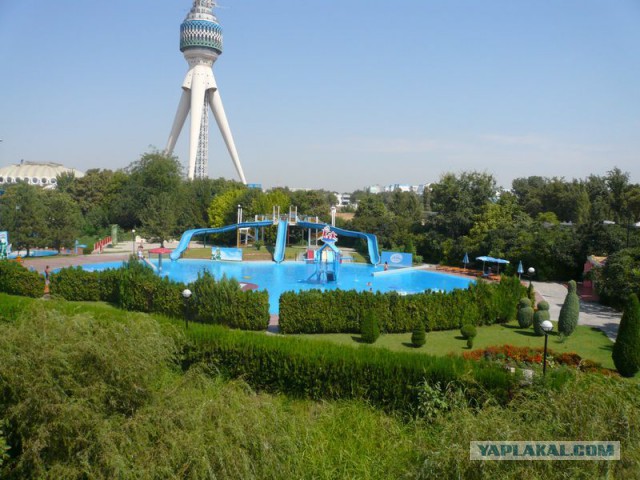 Ташкент в лицах