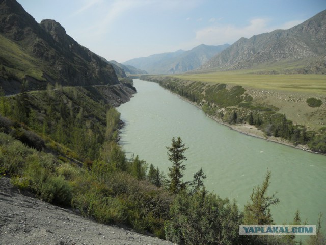 Плюсомет со шпалометом