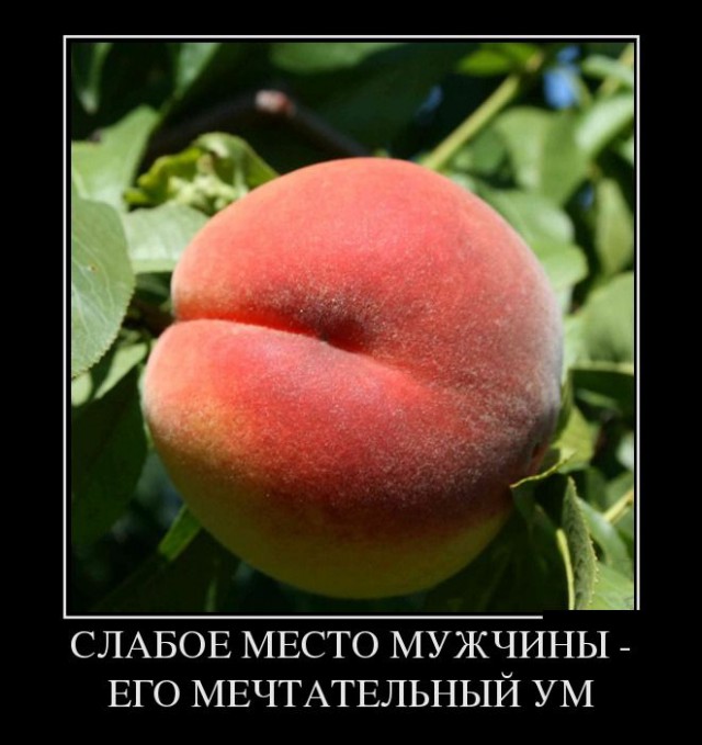 Горячие демотиваторы