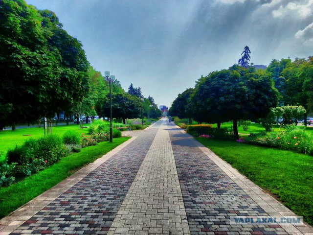 Тамбовский волк тебе товарищ...