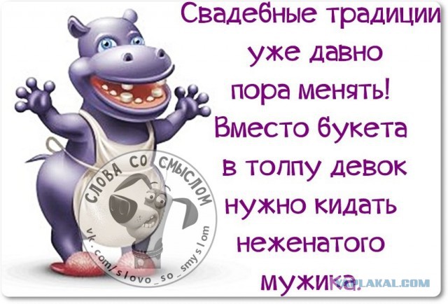 Веселые жизненные наблюдения из Вредного журнала