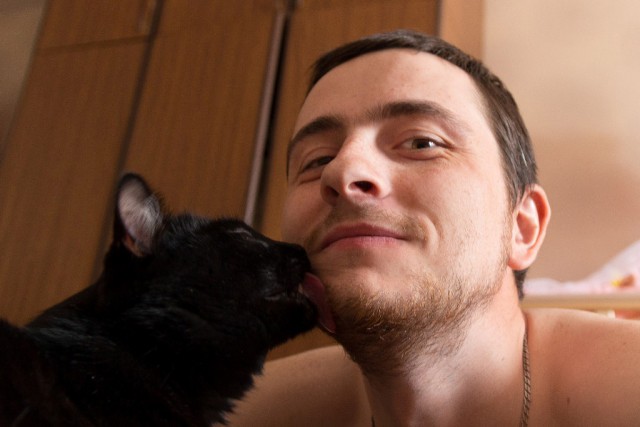 Котовторник 17.11.2015