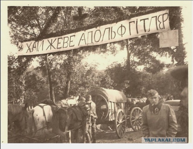 Фото Донбасса 2014-2015 г.