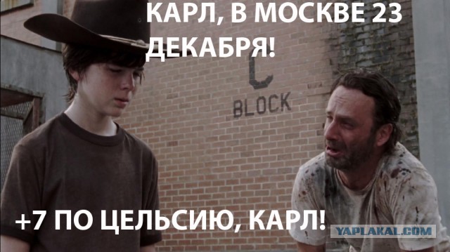 Последствия аномально теплой погоды в Москве