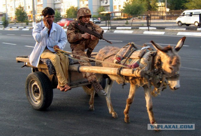 Фотожаба "Огненные Учения" Пожабим?