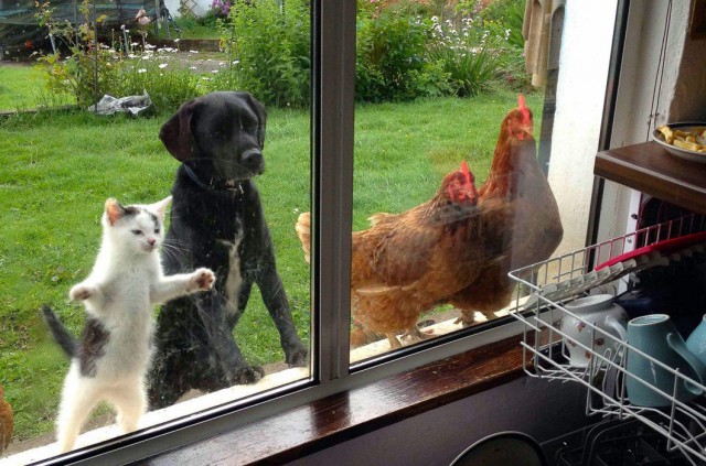 Подборка любопытных фотографий со всего света