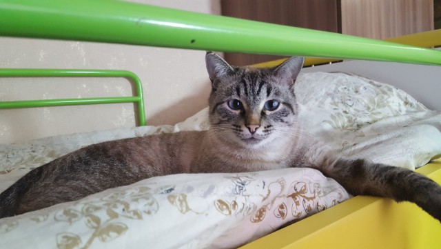 Как я дом обшивал и не только