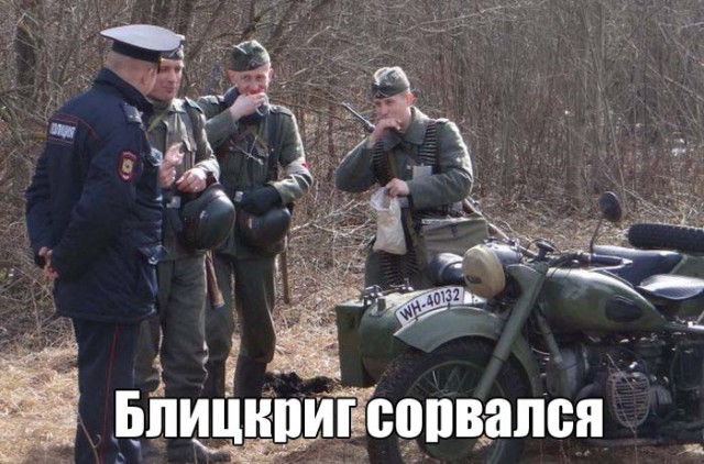 Подборка безудержного веселья