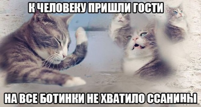 Картинок всяких
