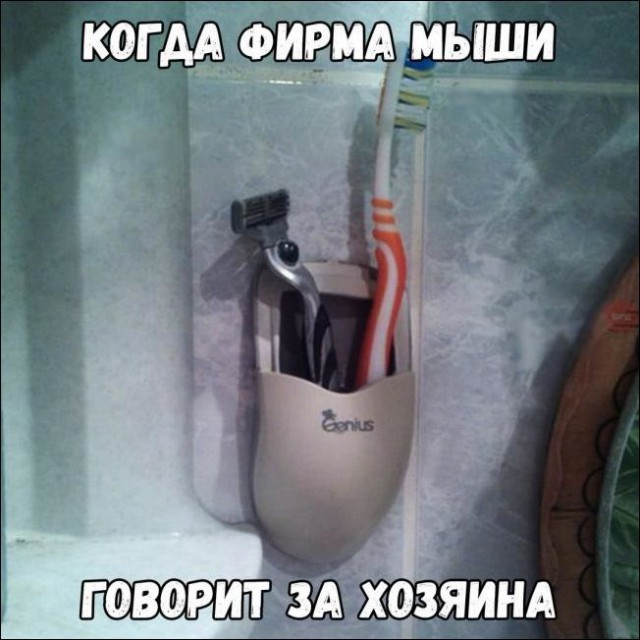 Подборка интересных и веселых картинок