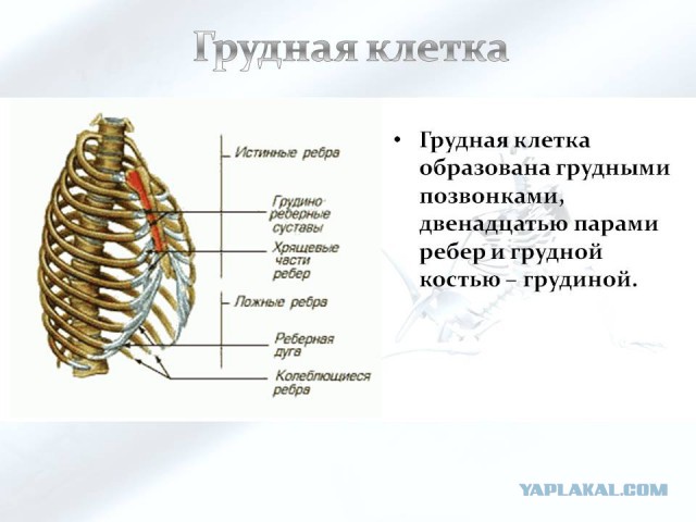 Совершенно непонятные фото, которые может объяснить лишь наука