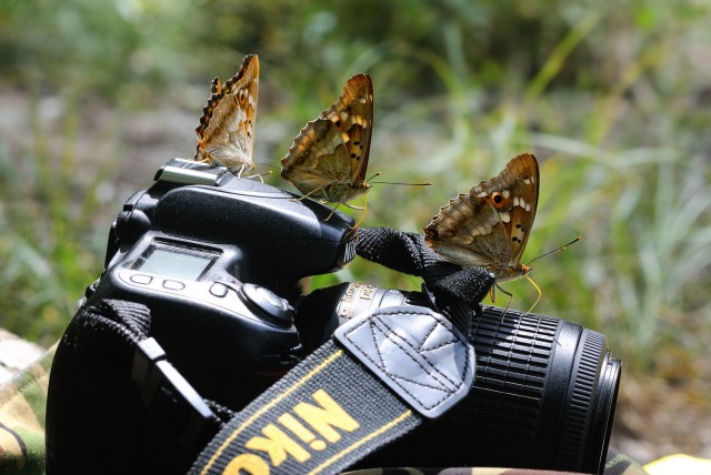 25 фактов о Nikon