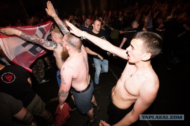 В ДНР погиб Олег "Мамай" Мамиев